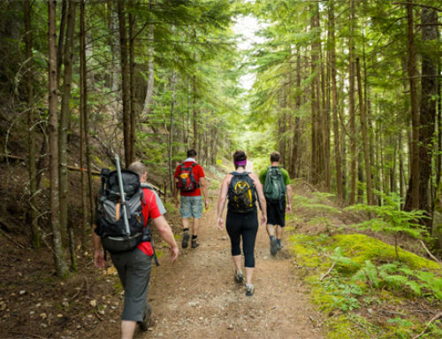 2802 km de sentiers à améliorer à l&rsquo;occasion de la Journée internationale des sentiers